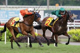 Gilt Complex (NZ) claims the Singapore Gold Cup. Photo: Singapore Turf Club